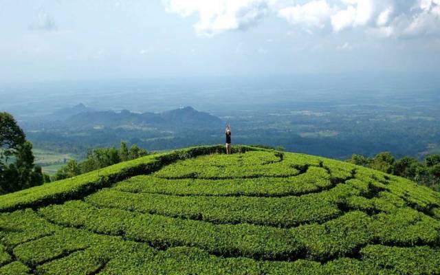Travel Malang Ngawi