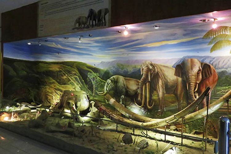 Travel Malang Sragen